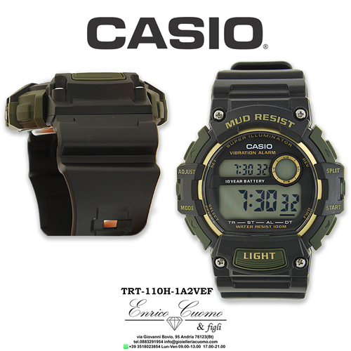 casio 3463