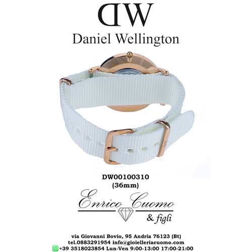 dw00100310